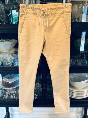 Bevy Flog Metallic Beige/Gold Drawstring Pants